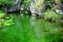 346565Izviri reke Vipave 2